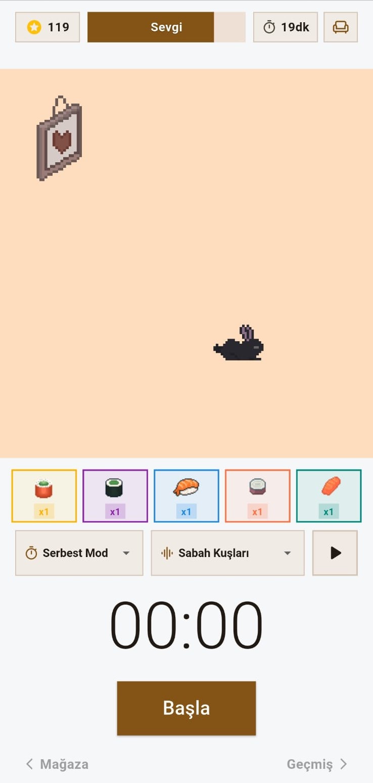 Odaklanma Ekranı